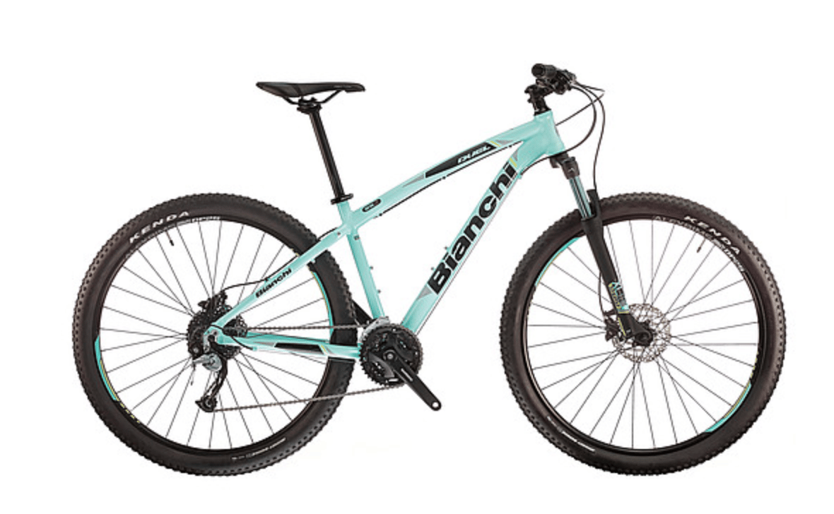 MTB Bianchi Duel 29.S